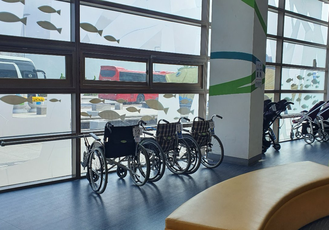 Danuri Aquarium-丹阳郡必去景点