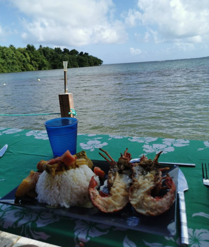 CaptainManou Excursions Nautiques-Le Robert必去景点