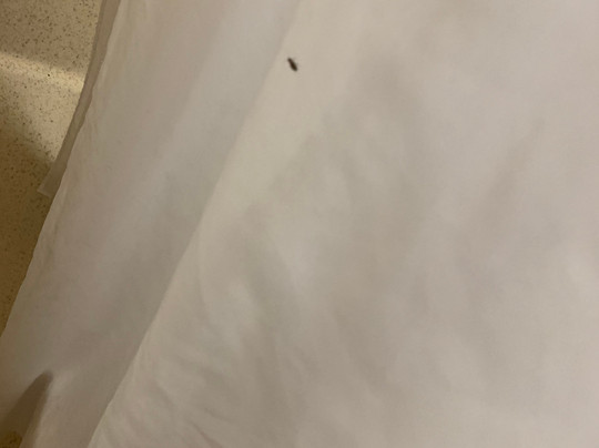 Extended Stay America Orlando - Maitland - 1760 Pembrook Dr.主图