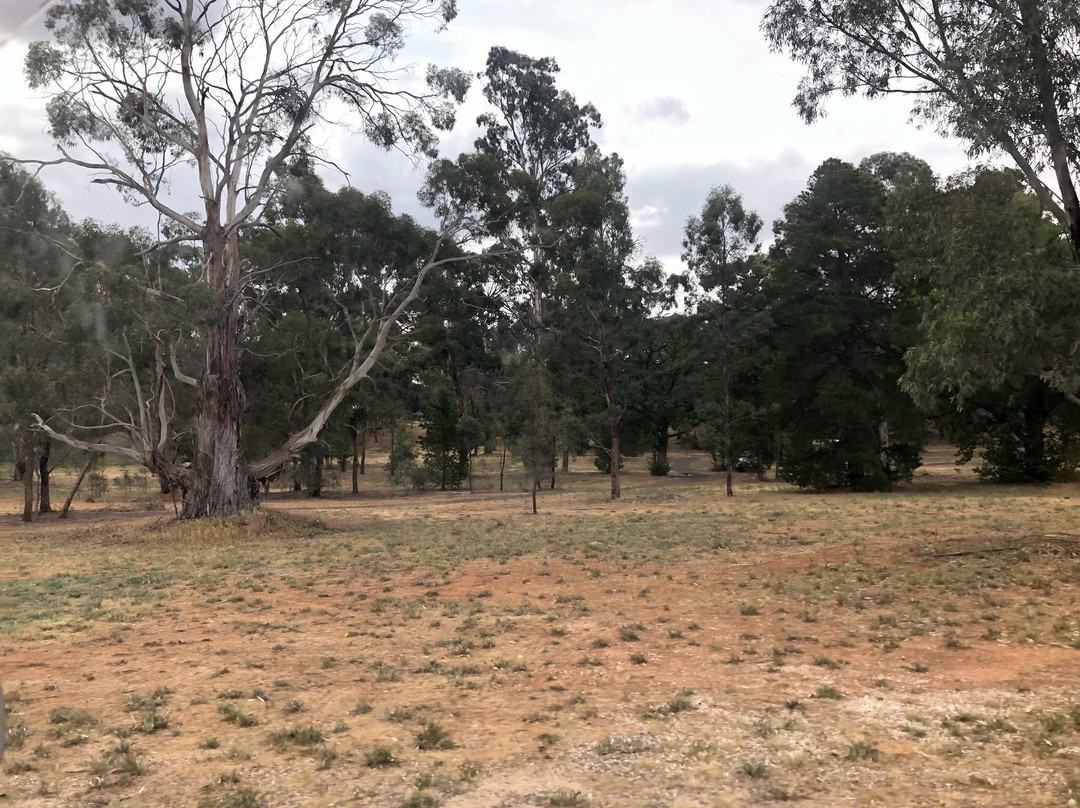Wedderburn Reservoir Track-Wedderburn必去景点