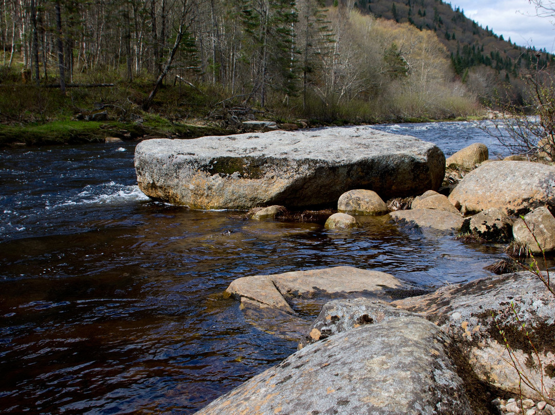 La Riviere Sautauriski to Le Grand Duc and Riviere Jacques-Cartier Loop景点图片