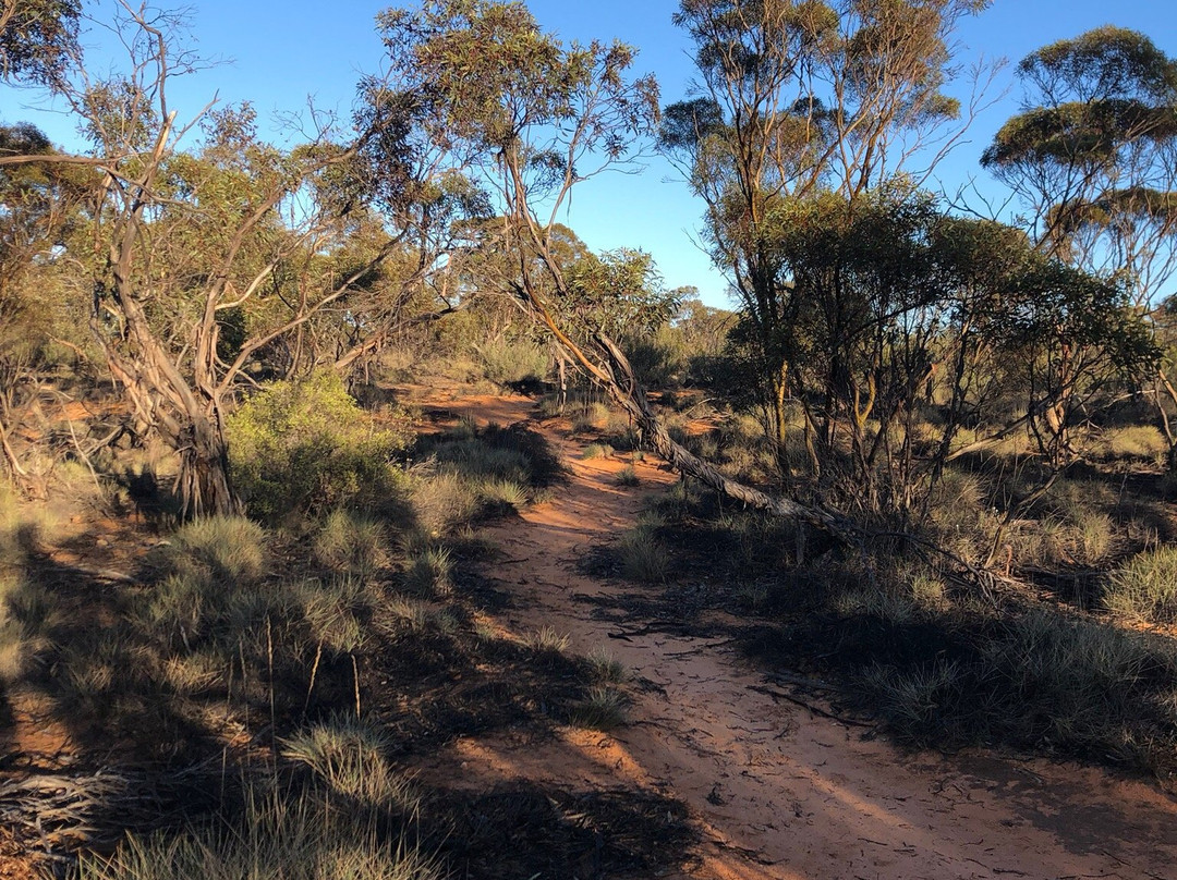 Hattah Nature Walk-Ouyen必去景点