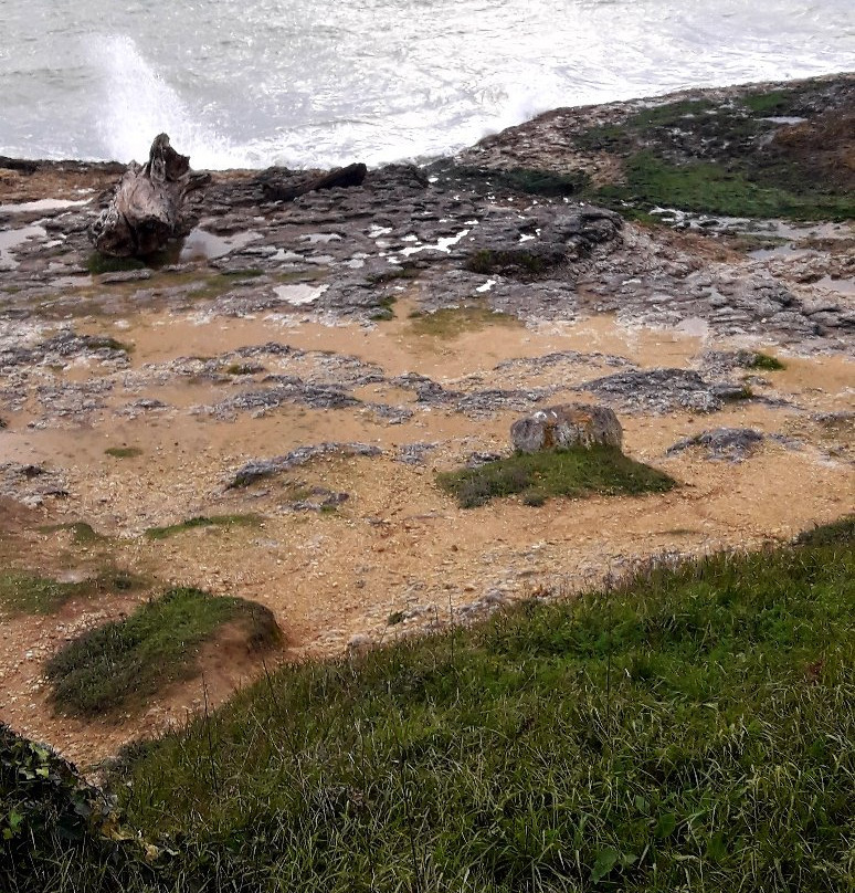 Côte Sauvage de la Presqu'île d'Arvert景点图片