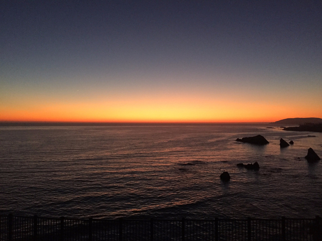 Pismo State Beach景点图片