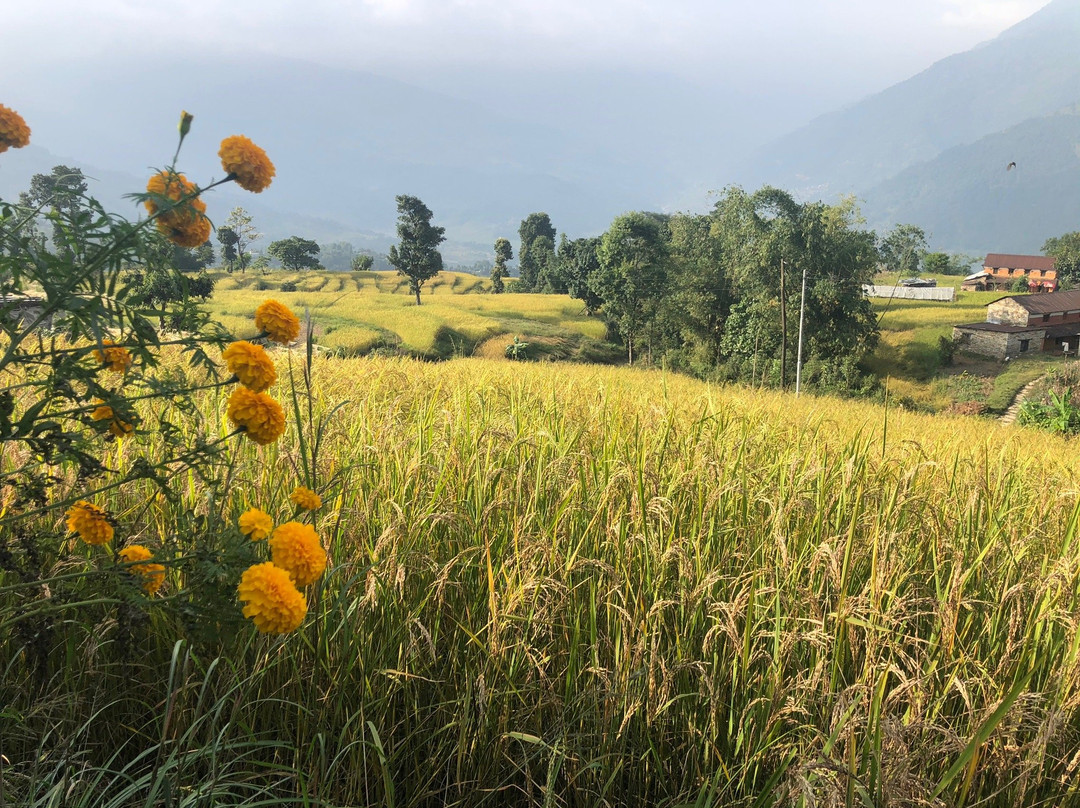 Astam Village Lodge主图