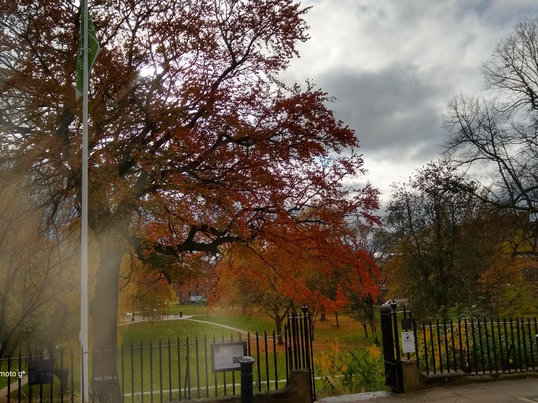 Winckley Square Park-普雷斯顿必去景点