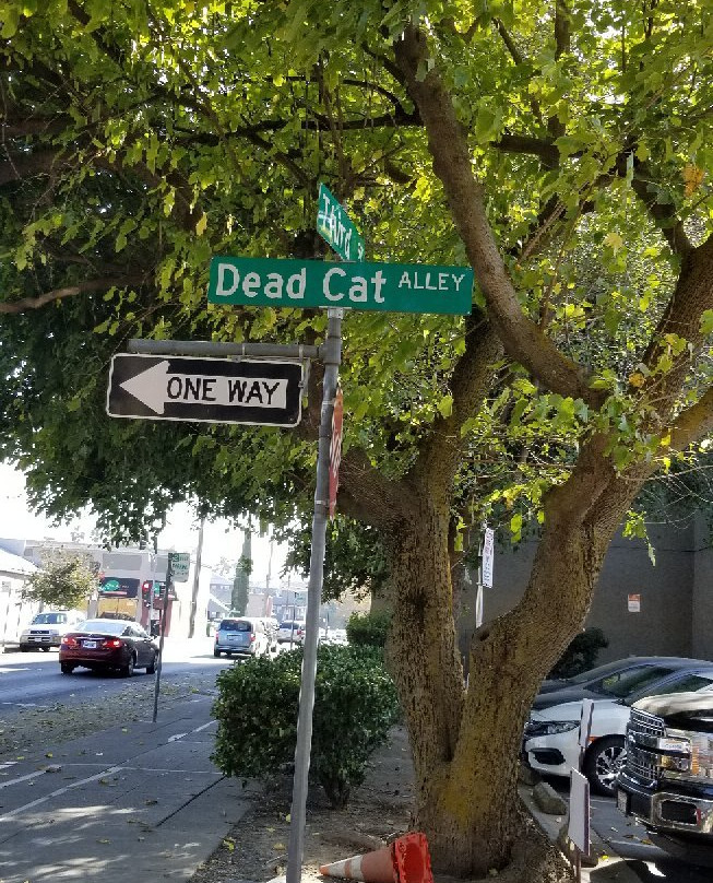 Dead Cat Alley景点图片