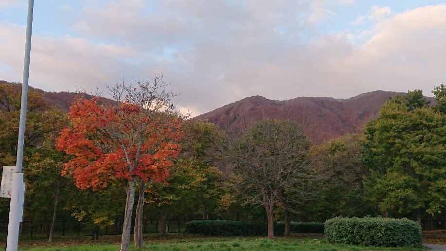 Kinshuko Service Area Outbound-西和贺町必去景点