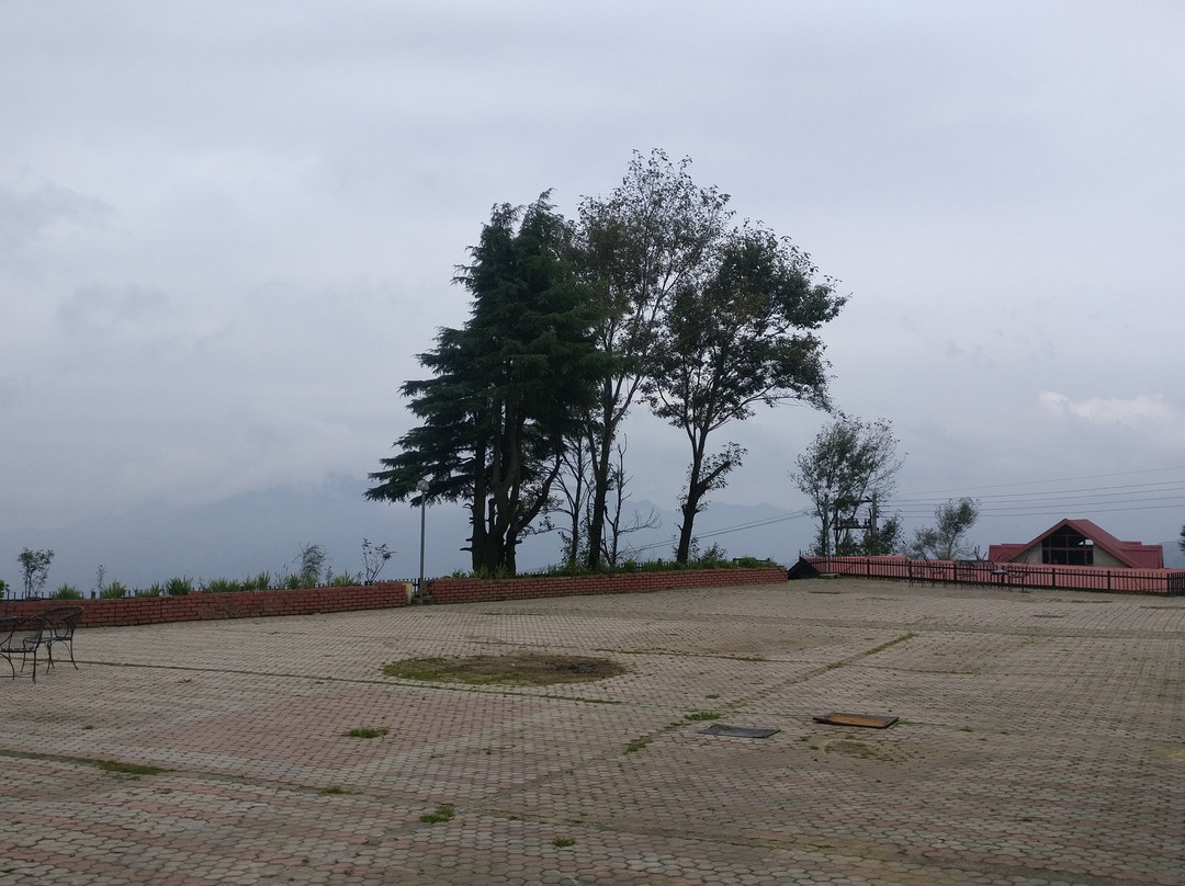 The Apple Blossom主图