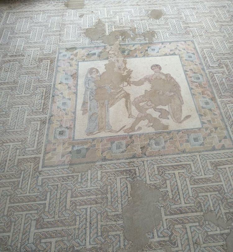 Parque Arqueologico de Carranque景点图片