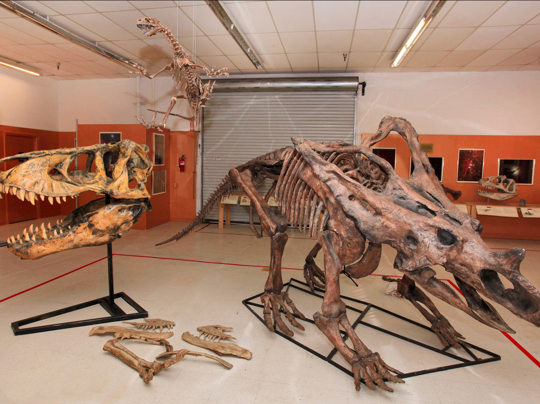 Museum of Ancient Wonders-大教堂城必去景点