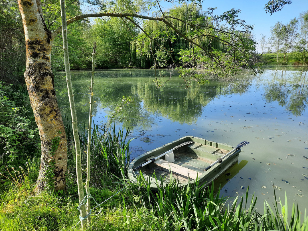 Domaine De Fontsauzine