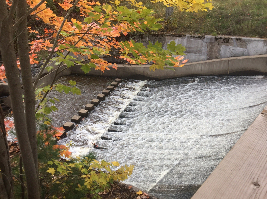 Irishtown Nature Park-蒙古顿必去景点