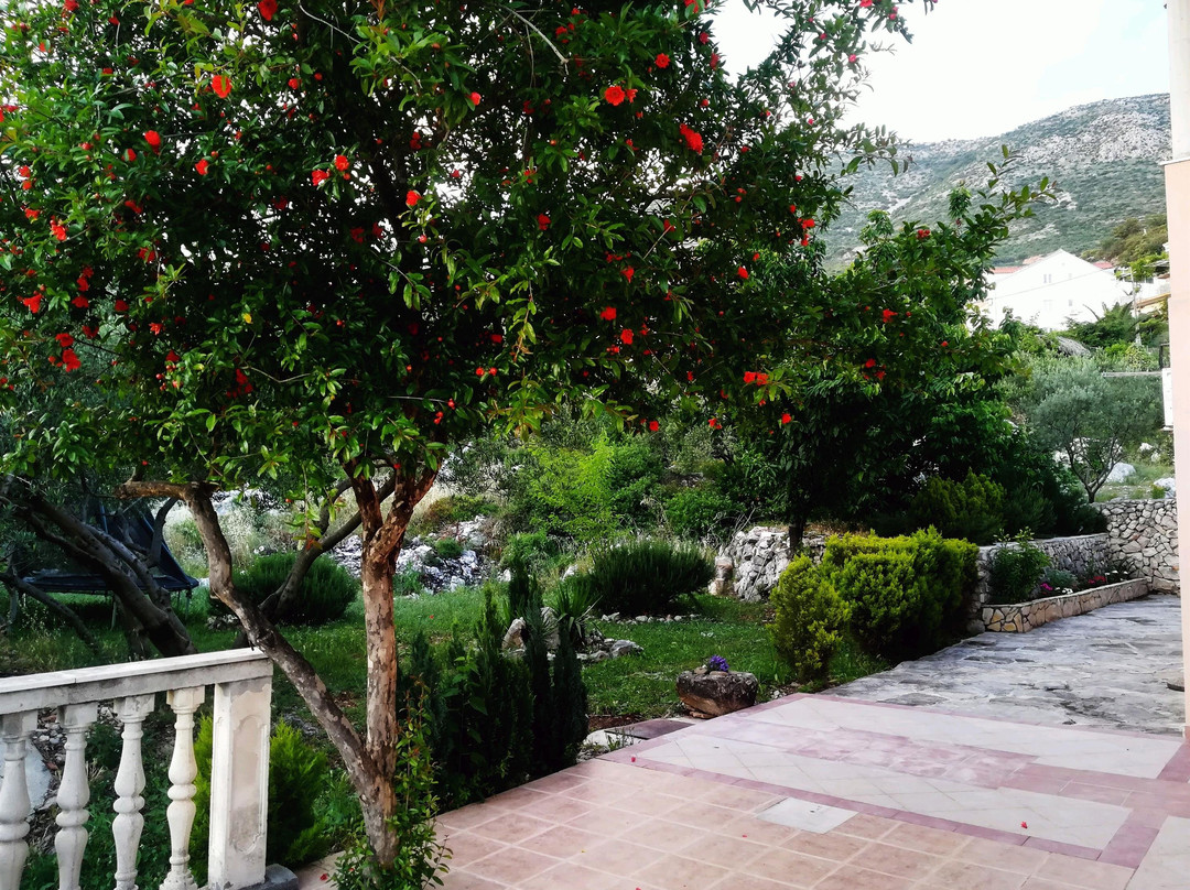 奥利瓦旅馆主图