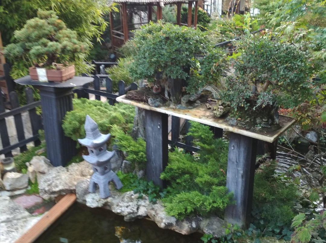 Museu do Bonsai-辛特拉必去景点