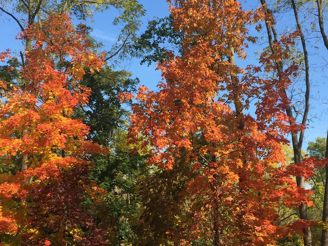 Paletta Lakefront Park and Mansion-伯灵顿必去景点