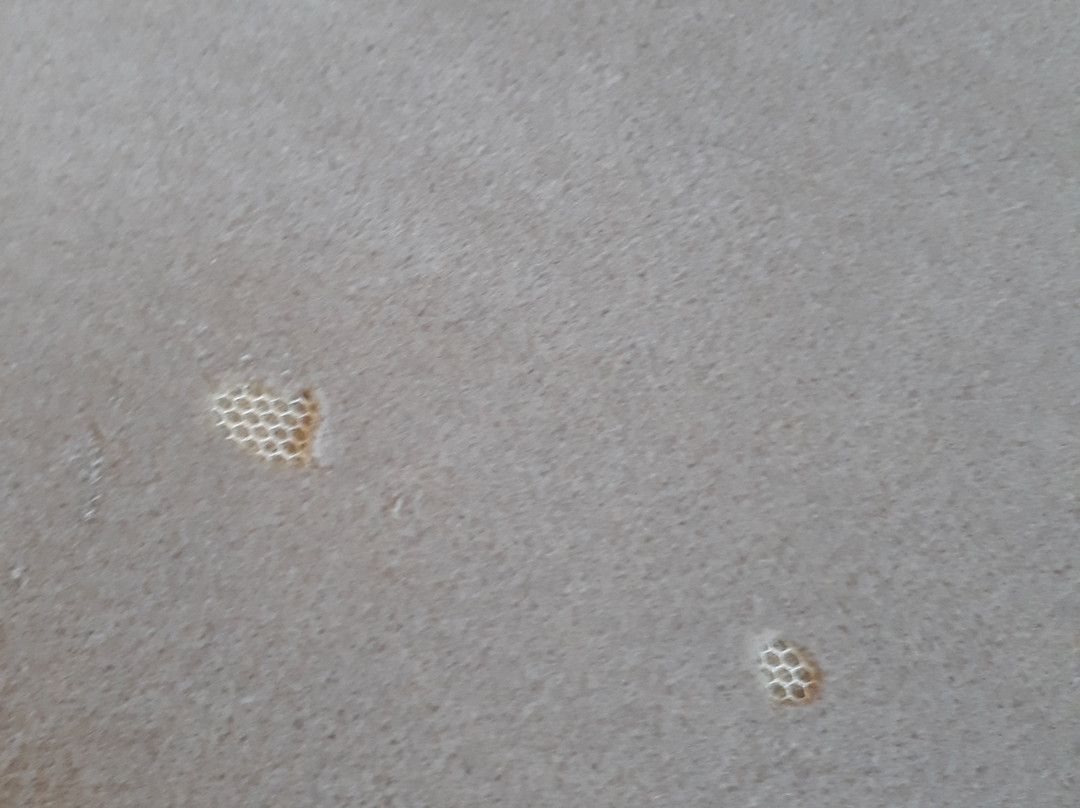 达令港沃布科尔酒店主图