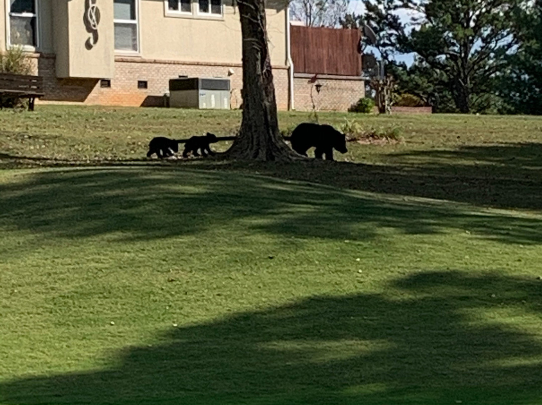 Dandridge Golf & Country Club-Dandridge必去景点