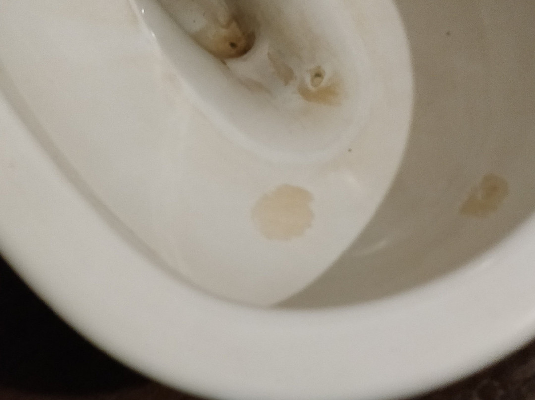 Hotel Holy Basil主图