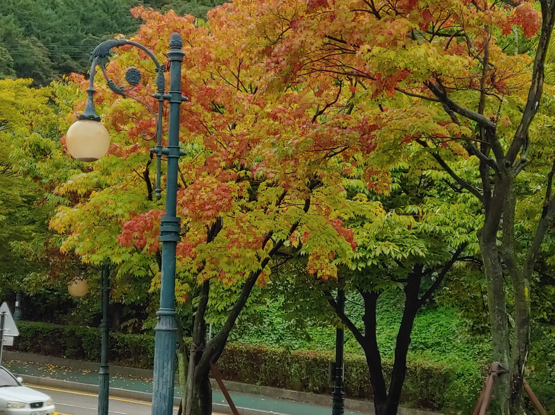 Galmi Hangul Park-义王市必去景点