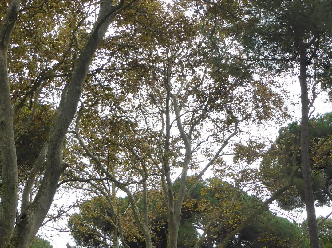 Oasi di Porto景点图片