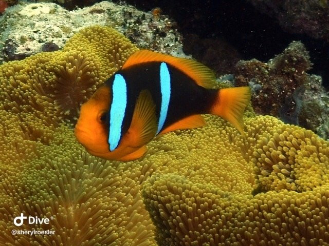 花园岛度假村主图