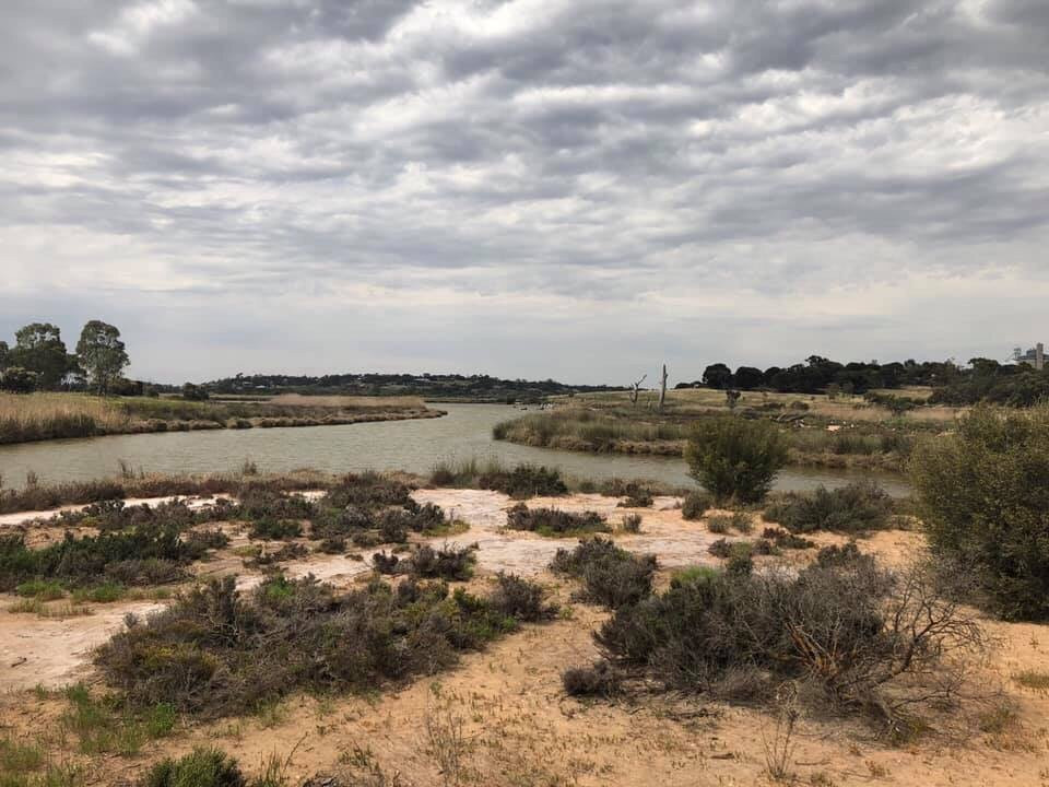 Rocky Gully Wetlands-Murray Bridge必去景点