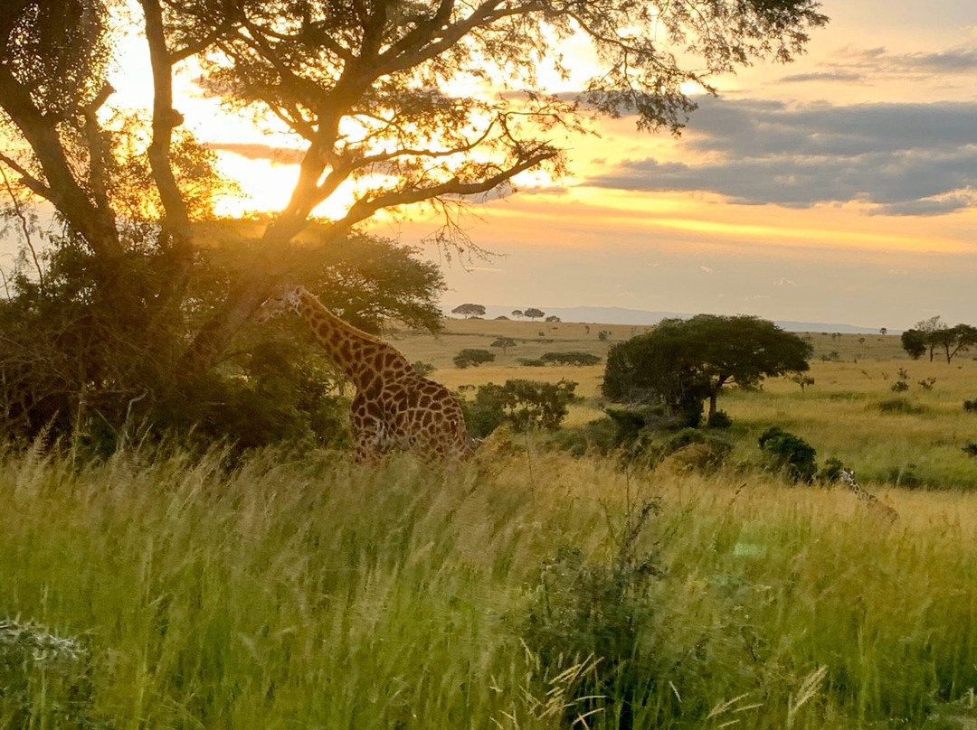 Love Uganda Safaris-坎帕拉必去景点