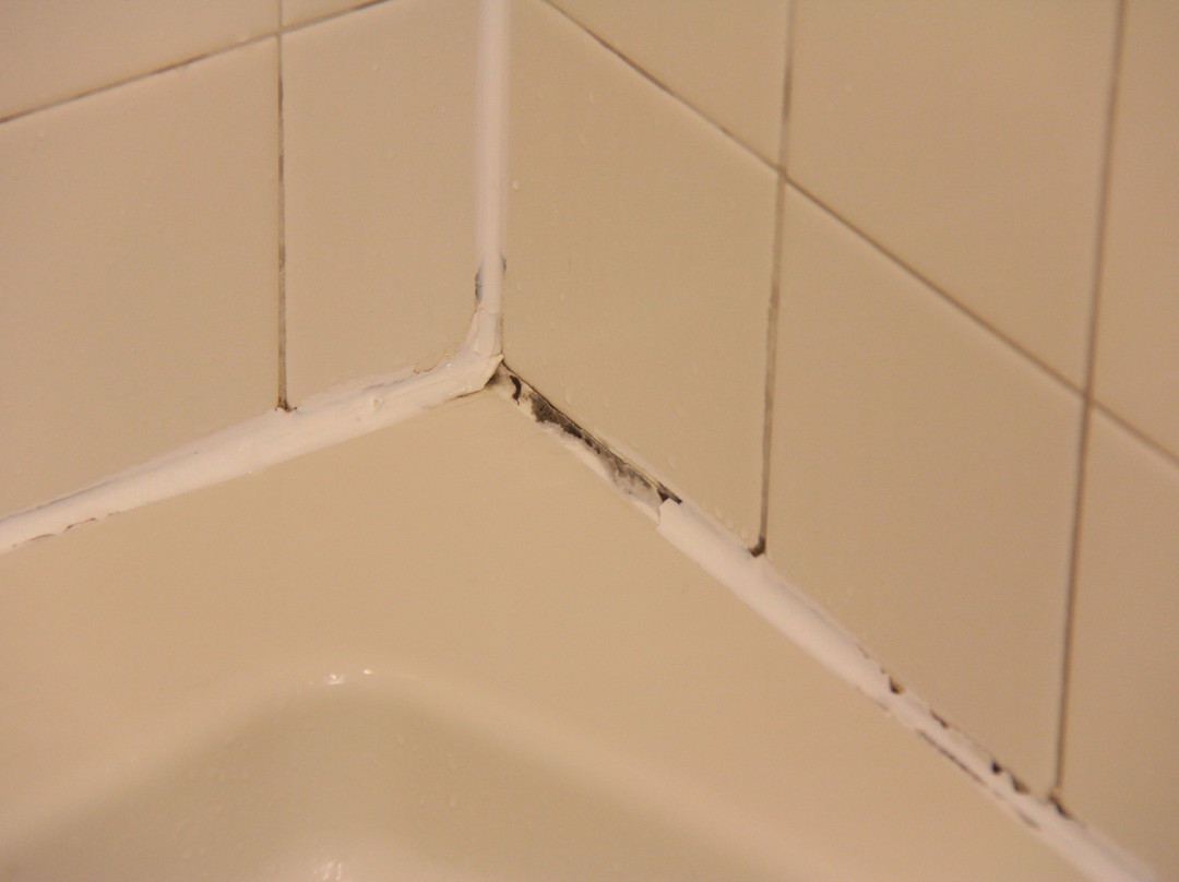 Rosario Village主图