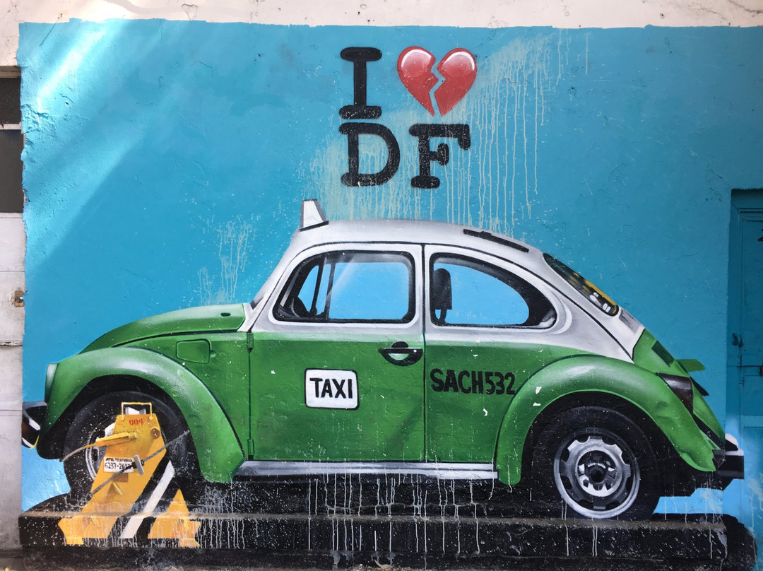 Street Art Roma District-墨西哥城必去景点