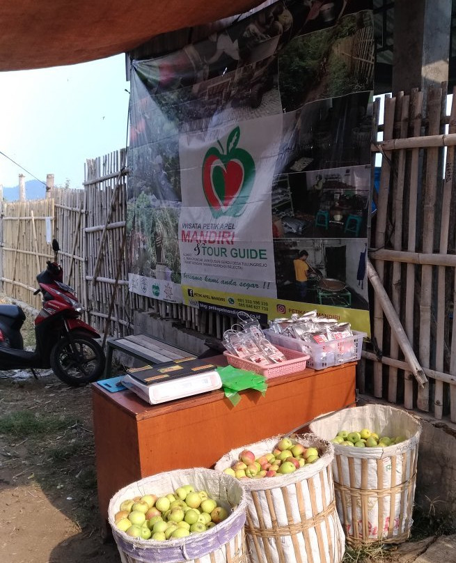 Wisata Petik Apel Makmur Abadi-巴图必去景点