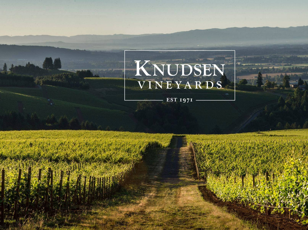 Knudsen Vineyards
