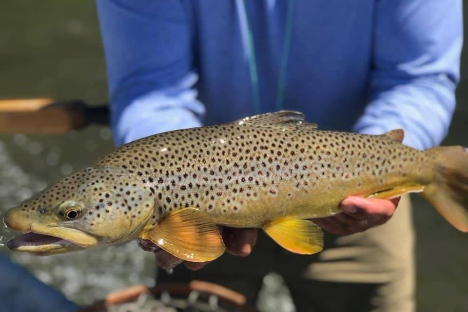 Big Timber Fly Fishing-Big Timber必去景点