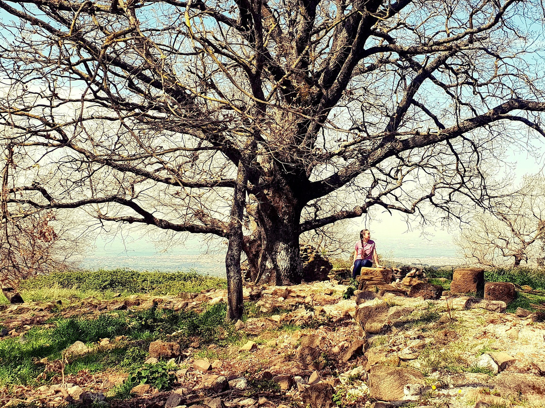 Monte Tuscolo-Monte Porzio Catone必去景点