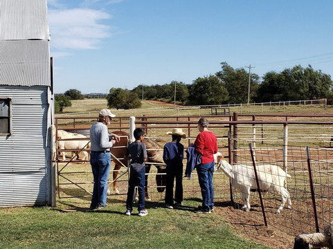 Daze in a Maze-Enid必去景点