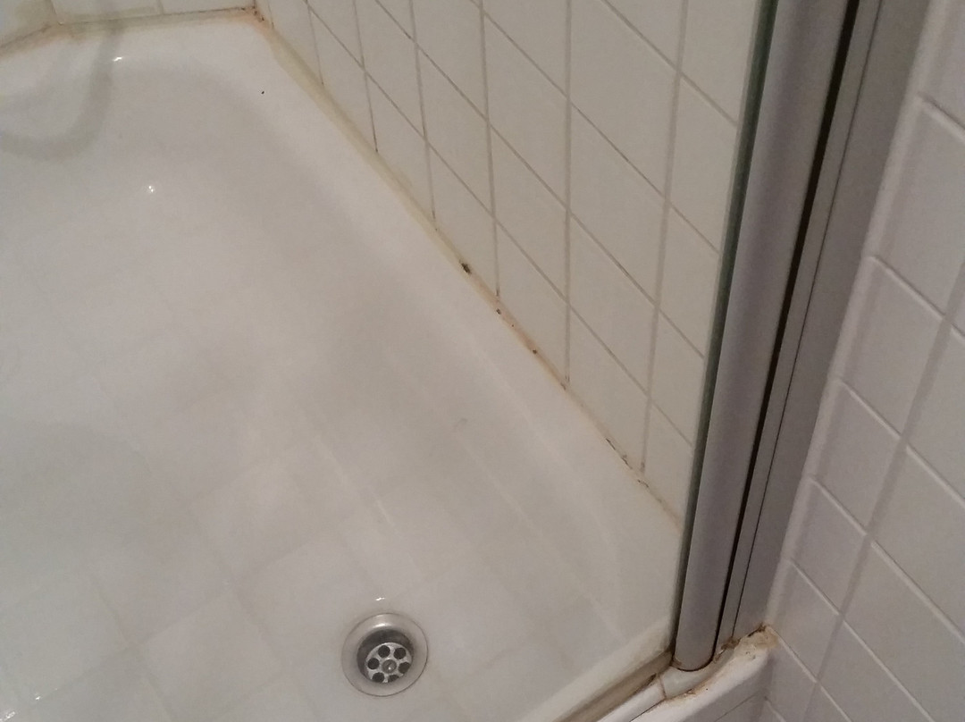 Lindenhof Warnsdorf主图