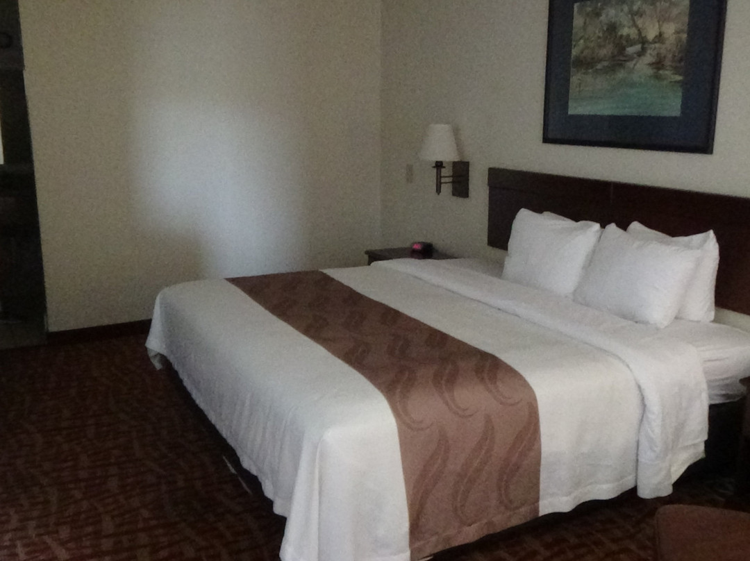 Quality Inn At Town Center主图