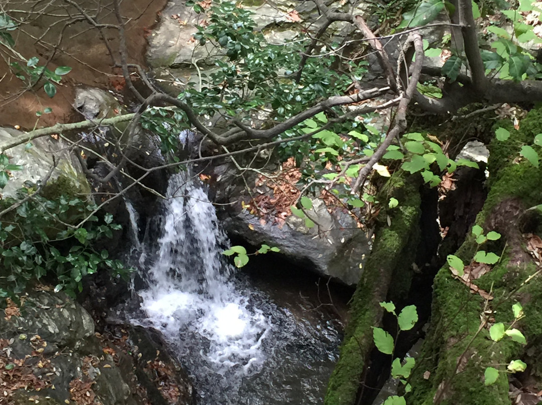 Evia Adventure Tours-Khalkis必去景点