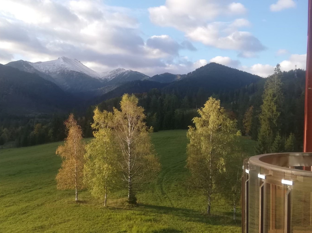 Hotel Montfort Wellness & Spa Tatranska Javorina主图