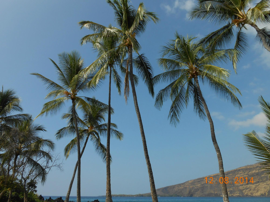 Manini Kapahukapu Beach景点图片