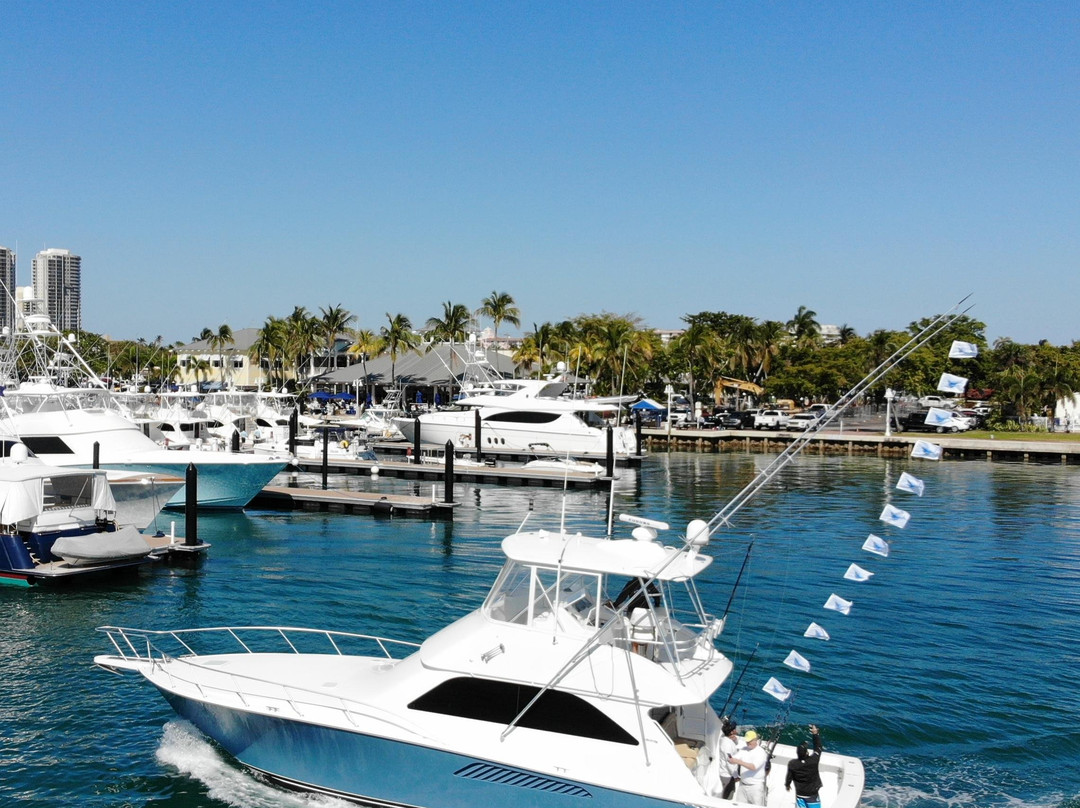 Fish on sportfishing