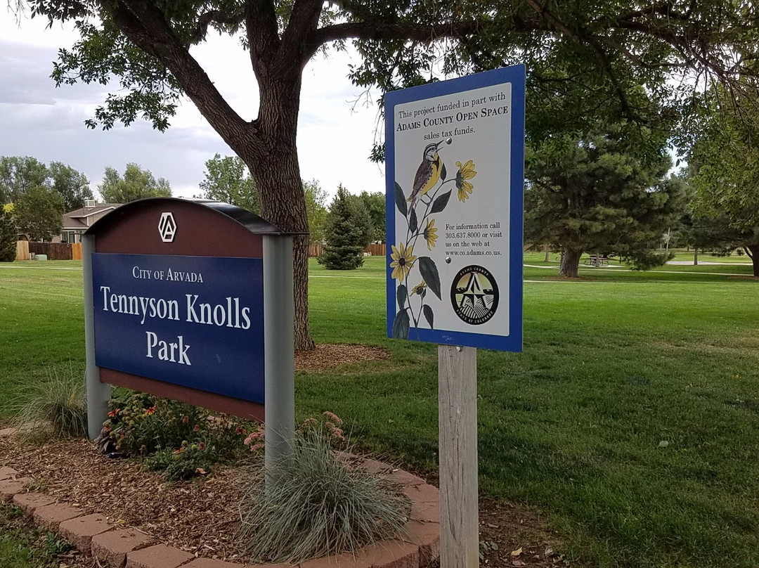 Tennyson Knolls Park景点图片