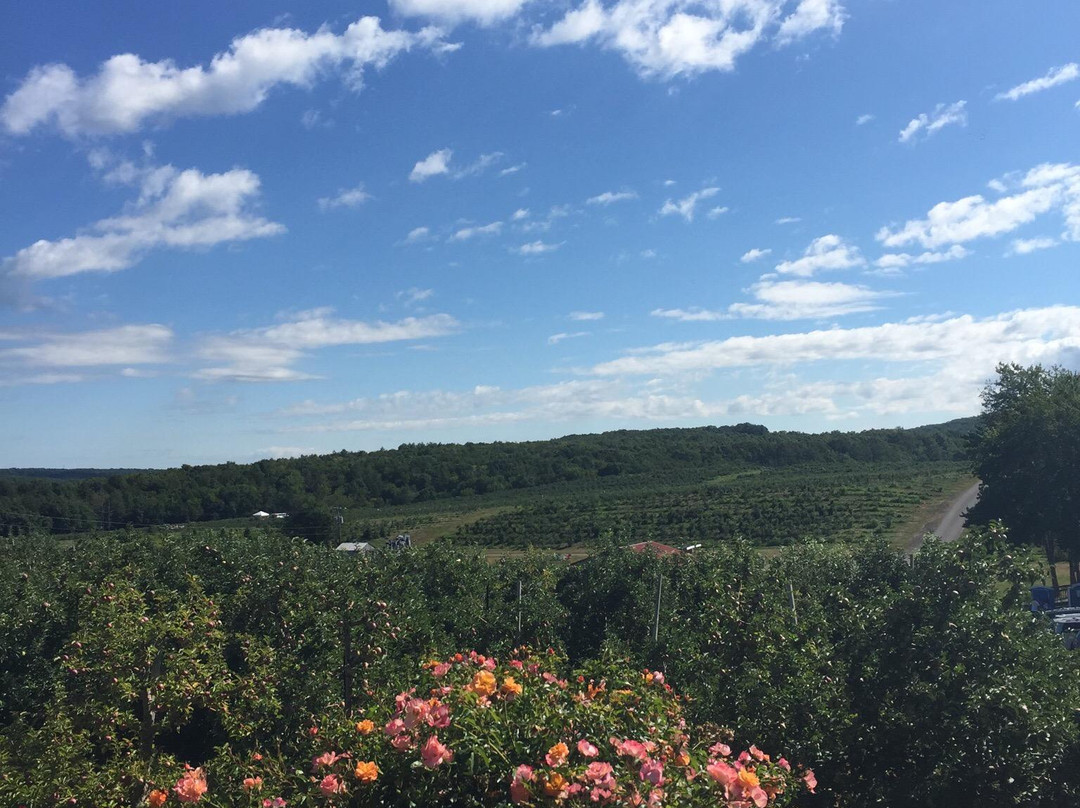 Glastonbury旅游景点-Rose's Berry Farms, LLC