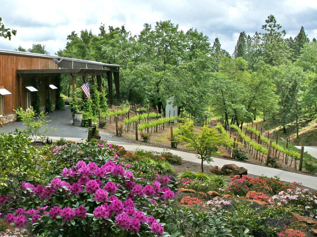 Penn Valley旅游景点-Pilot Peak Vineyard & Winery