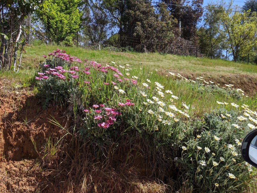Yackandandah Mining Gorge-Yackandandah必去景点