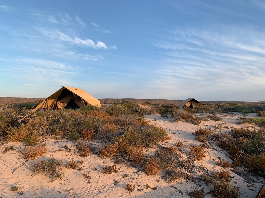 萨尔萨利斯尼加卢礁酒店主图