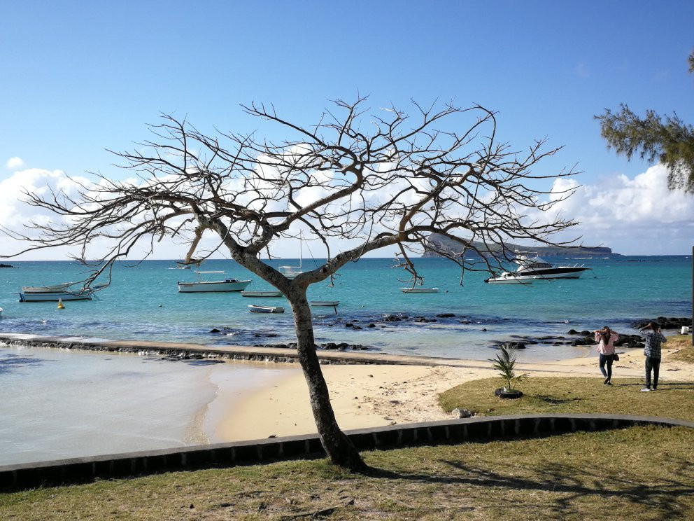 Taxi service in Mauritius景点图片