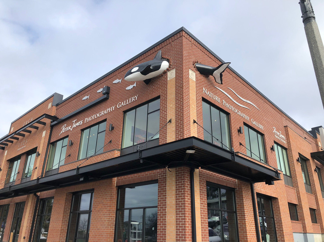 Peter James Photography Gallery-贝灵厄姆必去景点