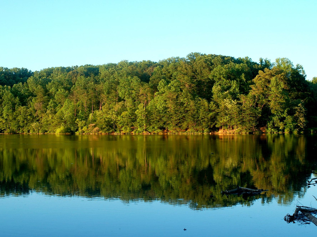 Lake Accotink Park景点图片