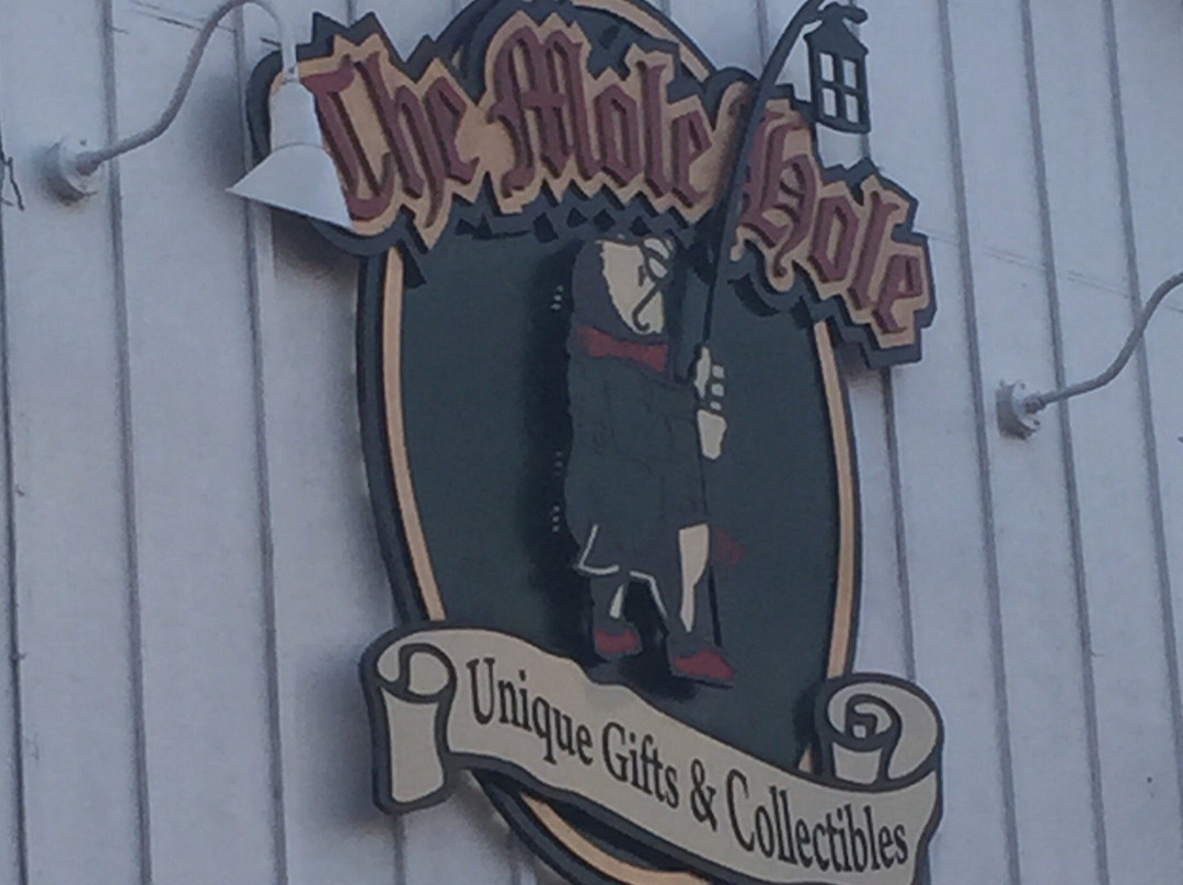 The Mole Hole